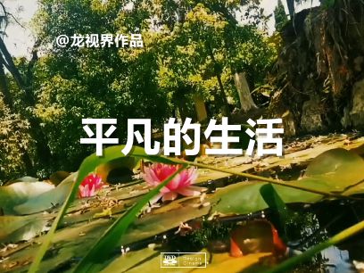 https://weixin.qq.com/sph/AXY6zmVdO
